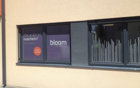 bloom, Oberndorf bei Salzbuarg