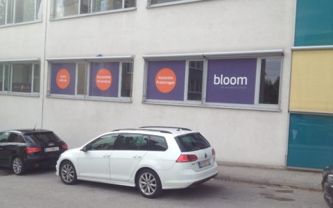 bloom, Leonding