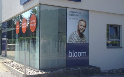 bloom, Hallein